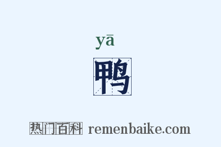 鸭是什么意思的图片